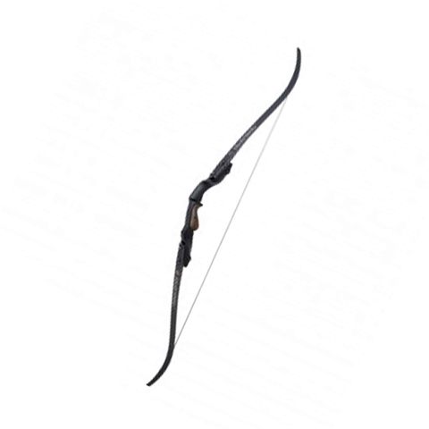 Win & Win Black Wolf recurve